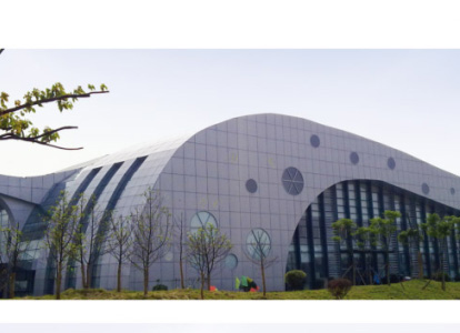 东方会议中心外景网架工程